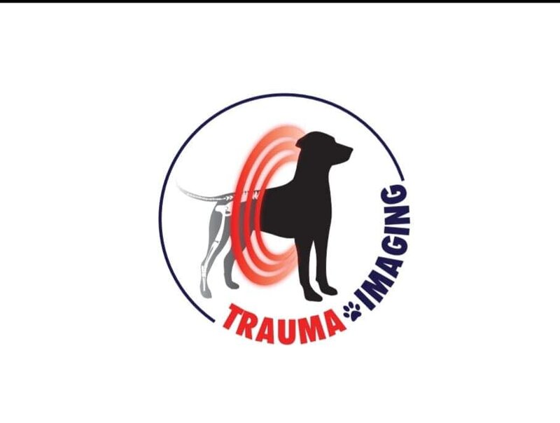 Trauma Surgery Vet - Clinica imagistica, traumatologie si chirurgie veterinara